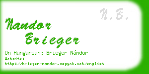 nandor brieger business card